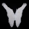 Angel's wing