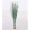 Buxus on stick