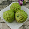 Artificial Annona squamous custard apple