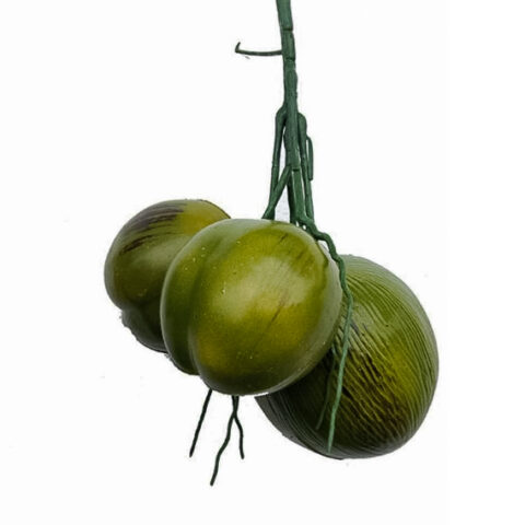 Artificial coconut