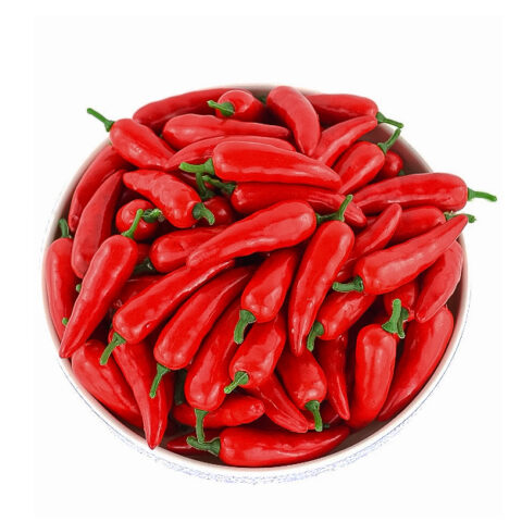 Artificial plastic red pepper vegetable