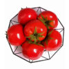 Artificial red plastic tomato vegetable