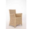 Arm cane chair