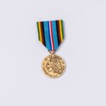 Armed force expeditionary medal
