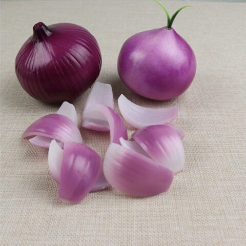 Artificial Faux Onion