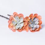 Artificial echeveria laui branch