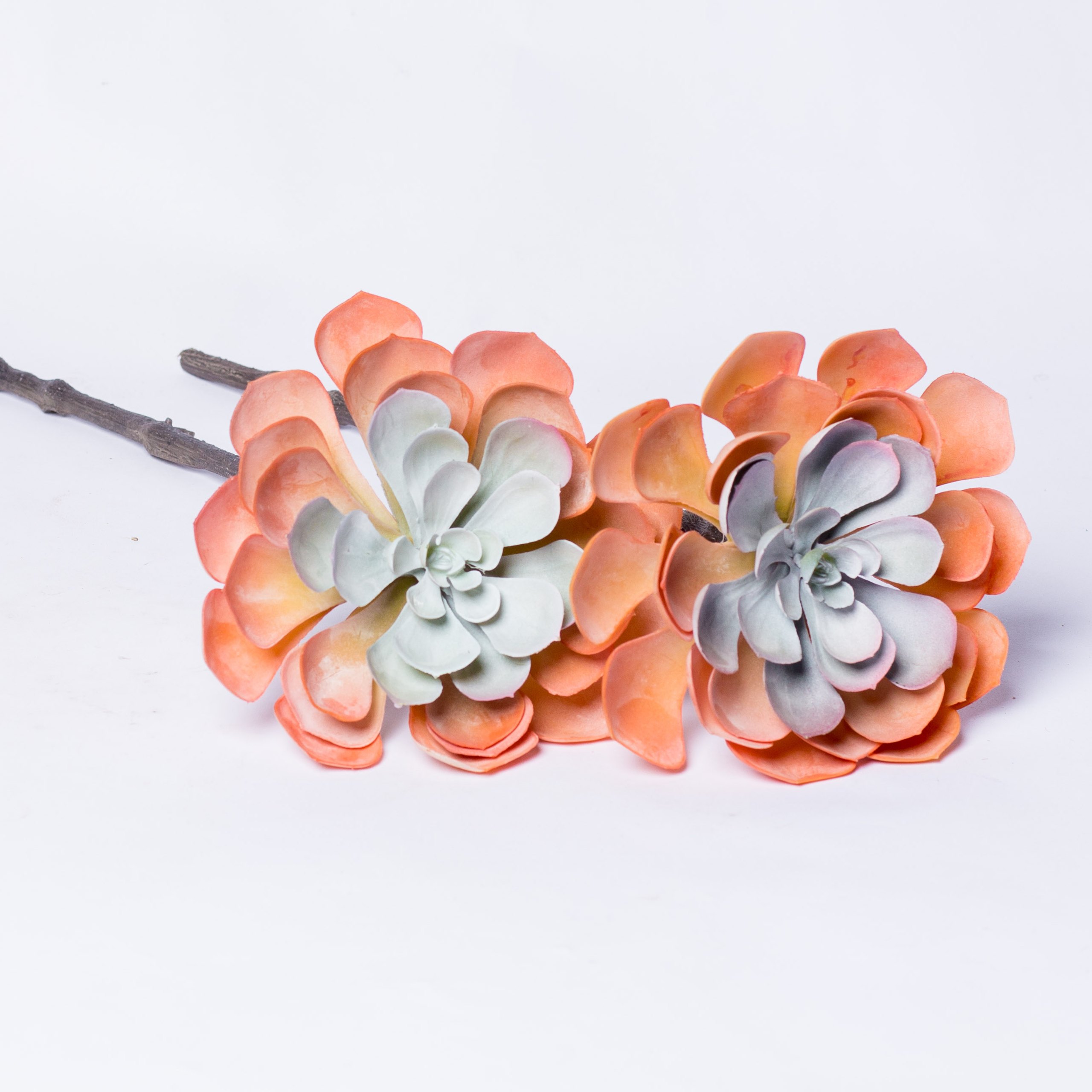 Artificial echeveria laui branch