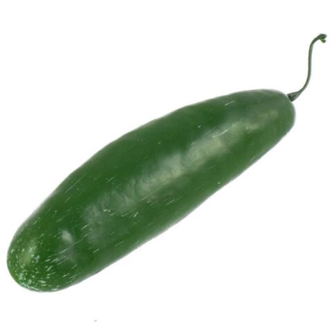 Artificial lifelike cucumber vegetable