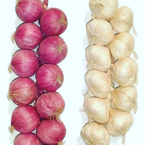Artificial onion and garlic vegetables strings