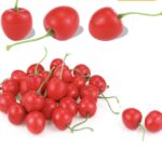 Artificial plastic red cherry fruits