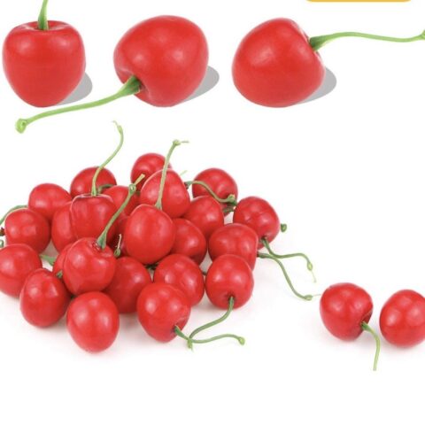 Artificial plastic red cherry fruits