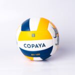 Ball BV100 fish 5