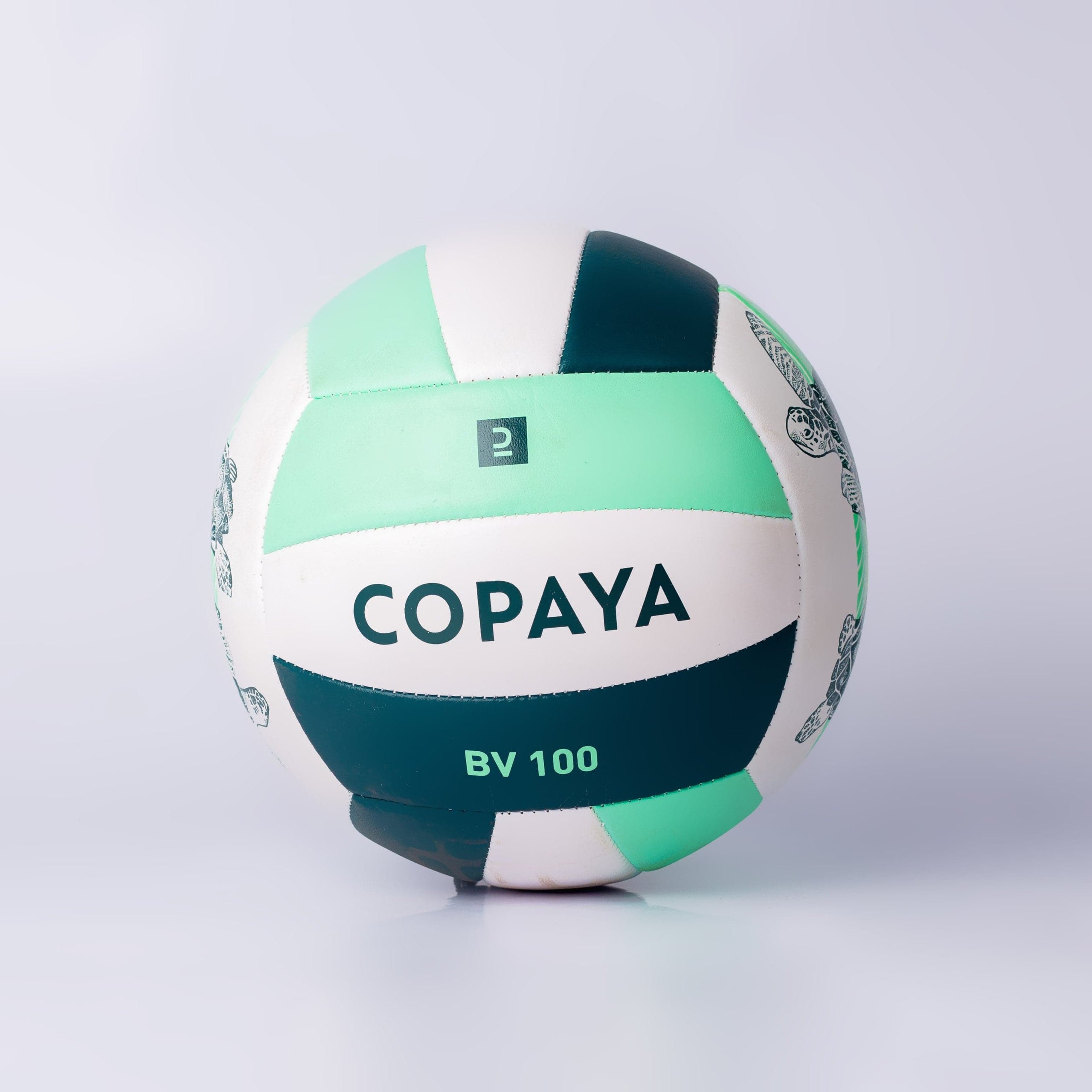Ball BV100 turtle 5