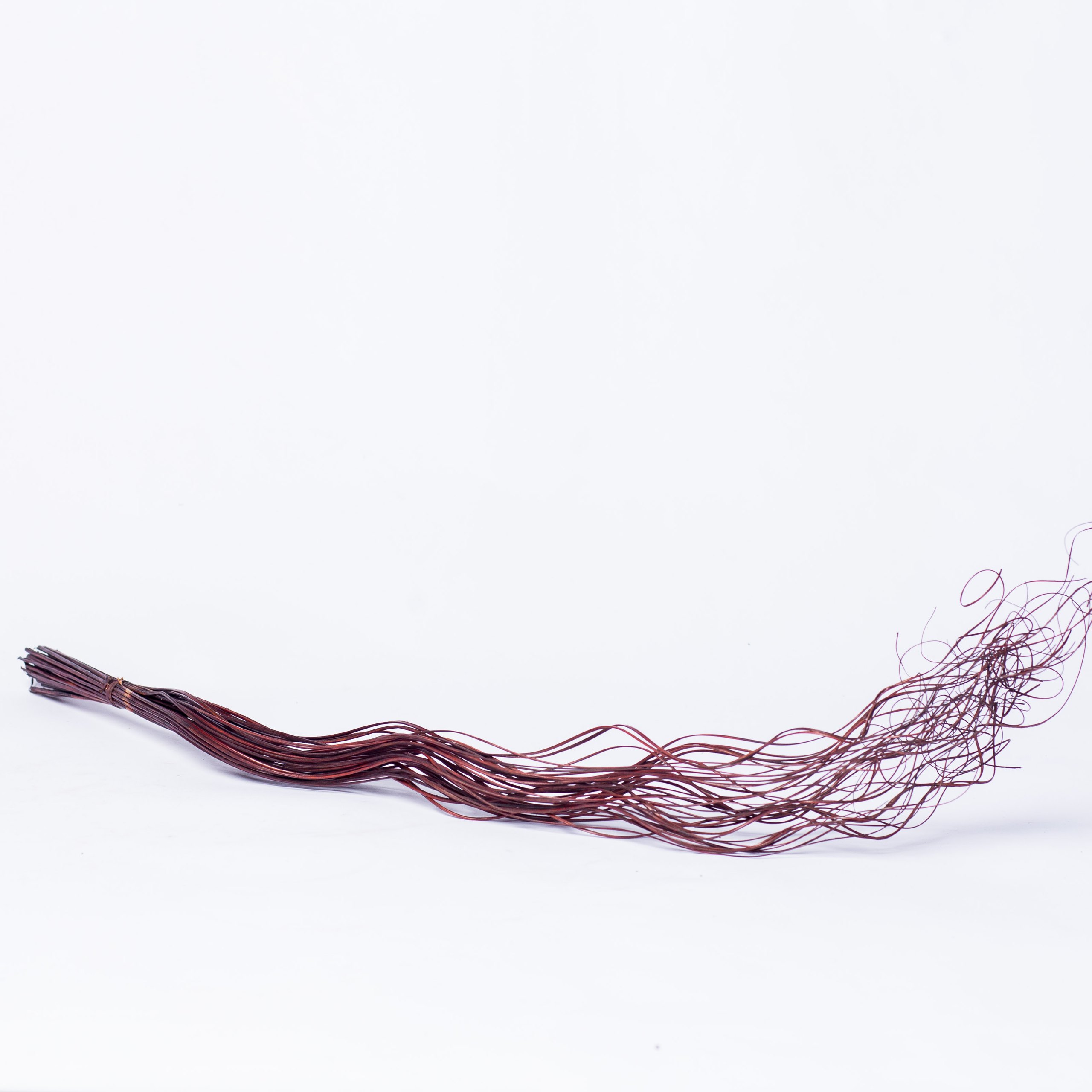 Brown center piece branches