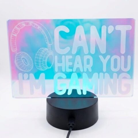 Cant hear you neon light