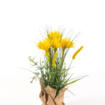Composition yellow flower