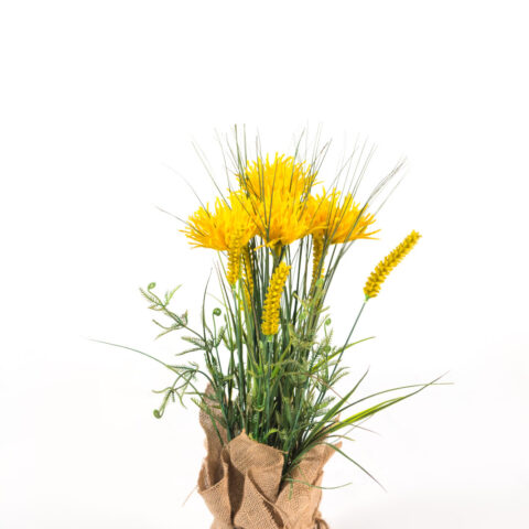 Composition yellow flower