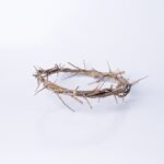 Crown of thorns