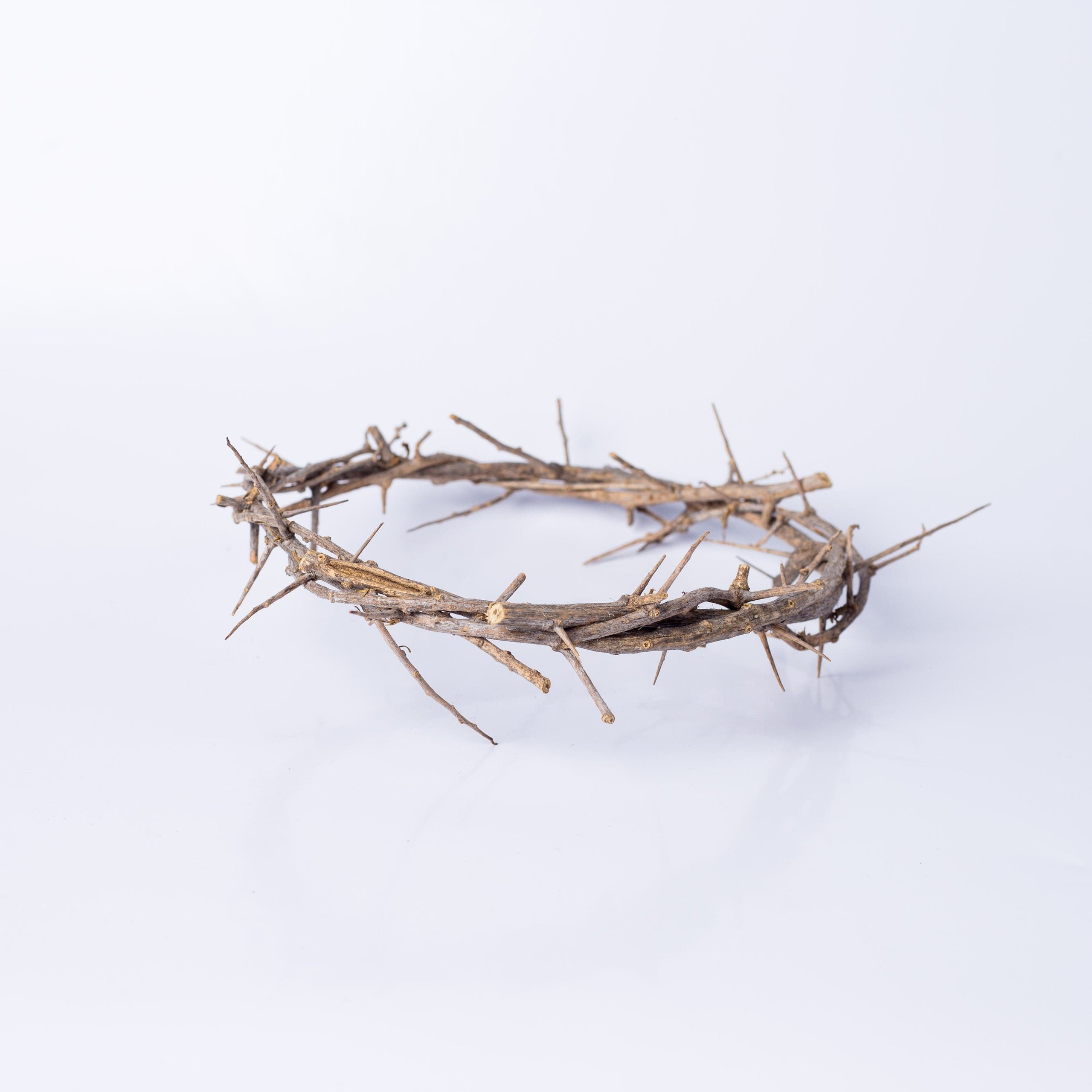 Crown of thorns