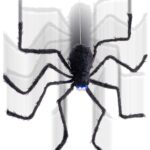 Fury spider
