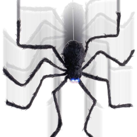 Fury spider