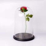 Galaxy clear glass dome
