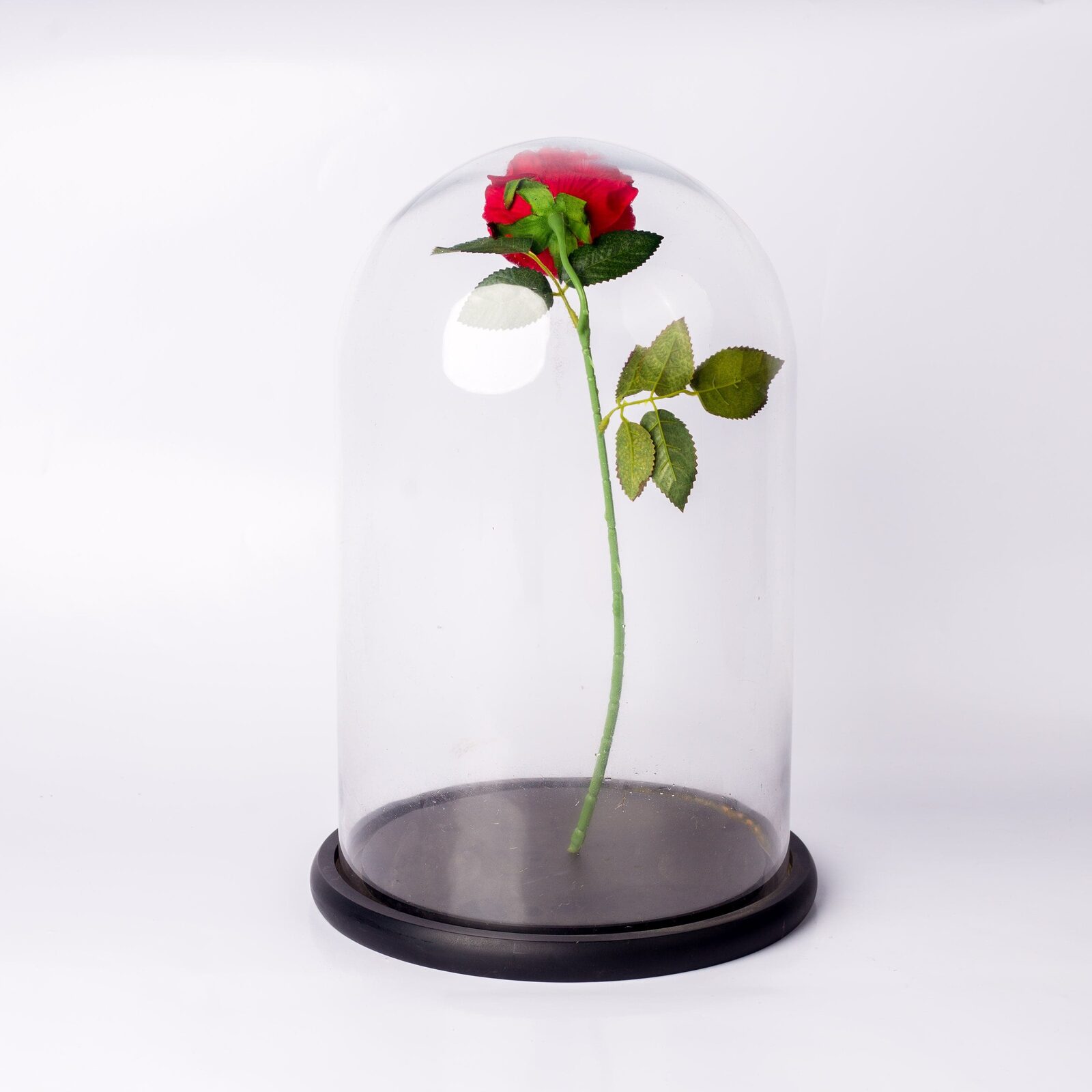 Galaxy clear glass dome