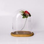 Galaxy clear glass dome