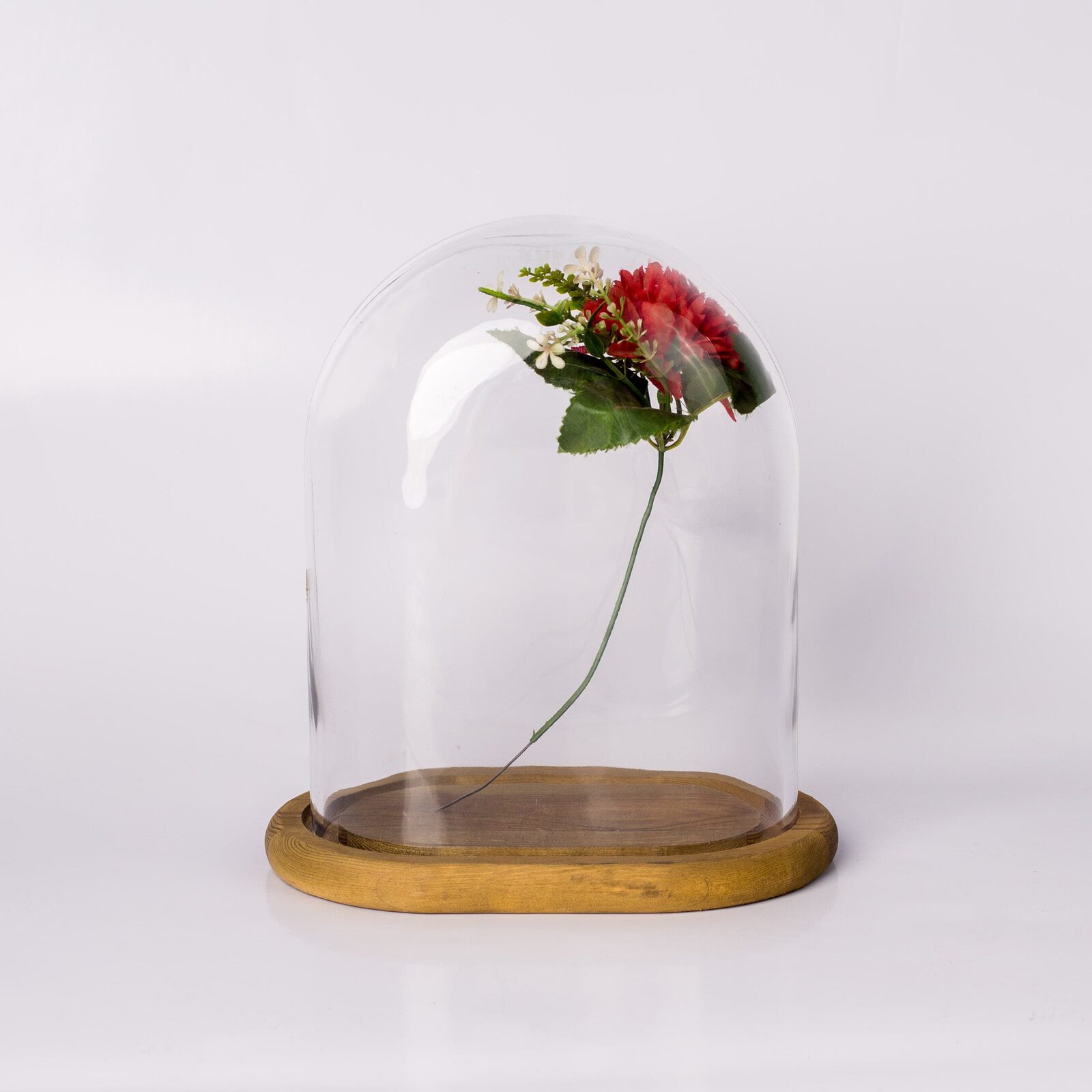 Galaxy clear glass dome
