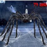 Giant hairy spider