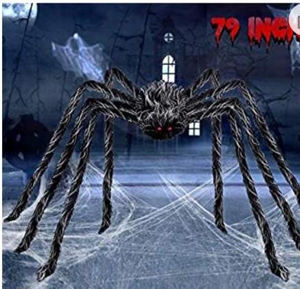 Giant hairy spider