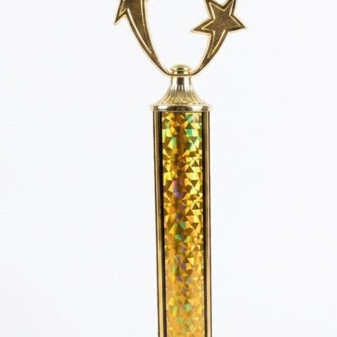 Gold star award trophy