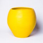 Indian yellow flower pot