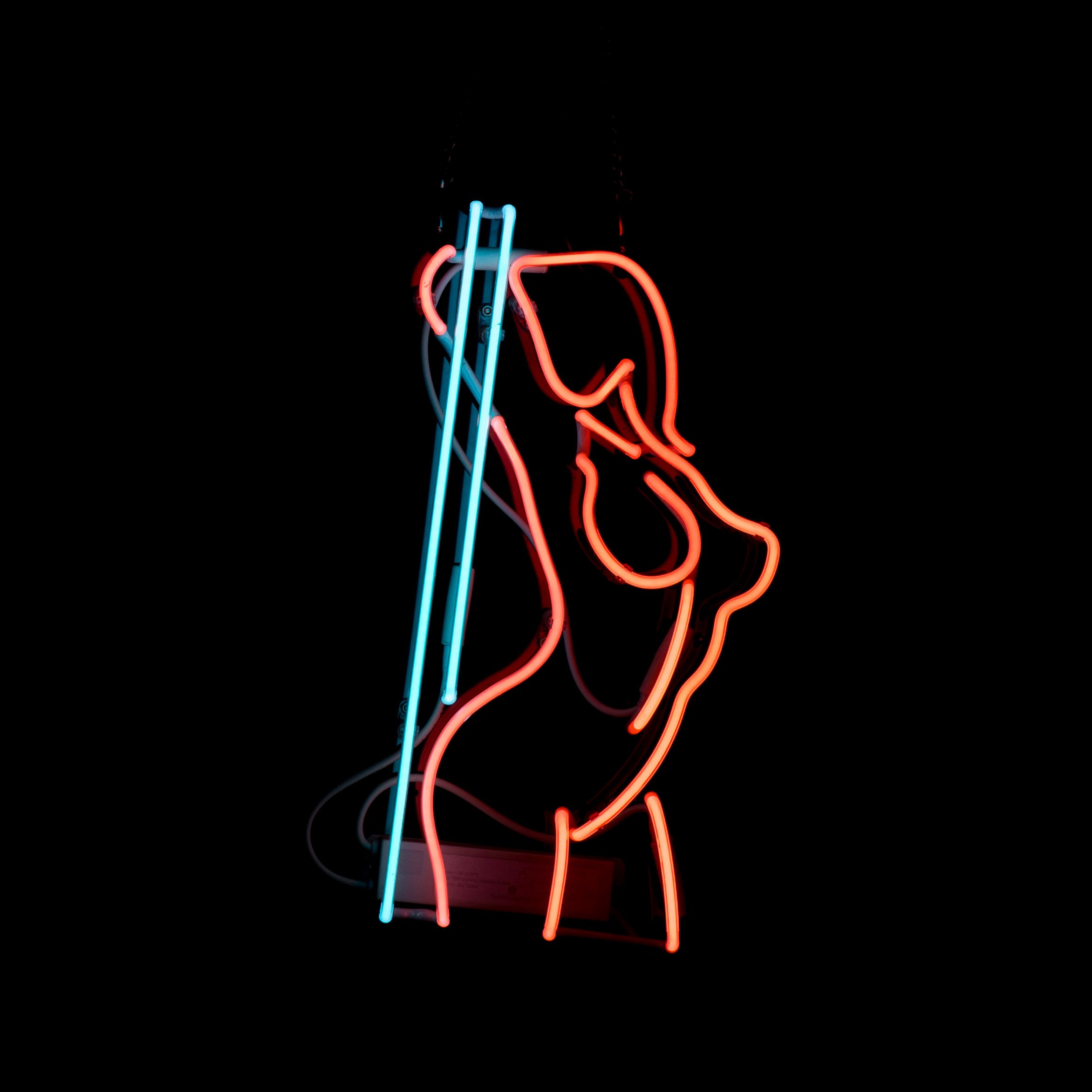 Lady on pole neon sign