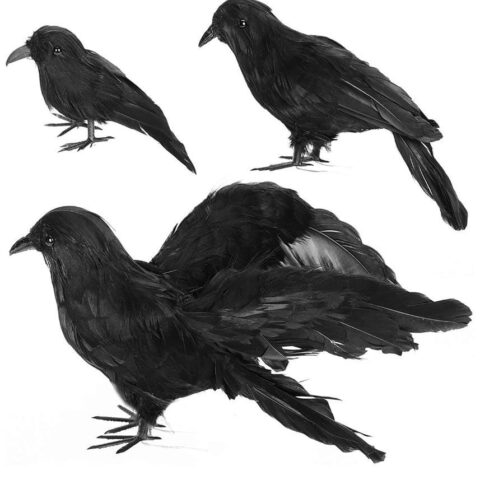 Lifeless Halloween bird