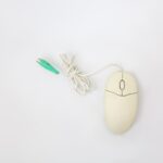 Mouse
