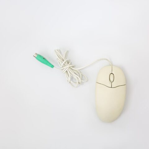 Mouse