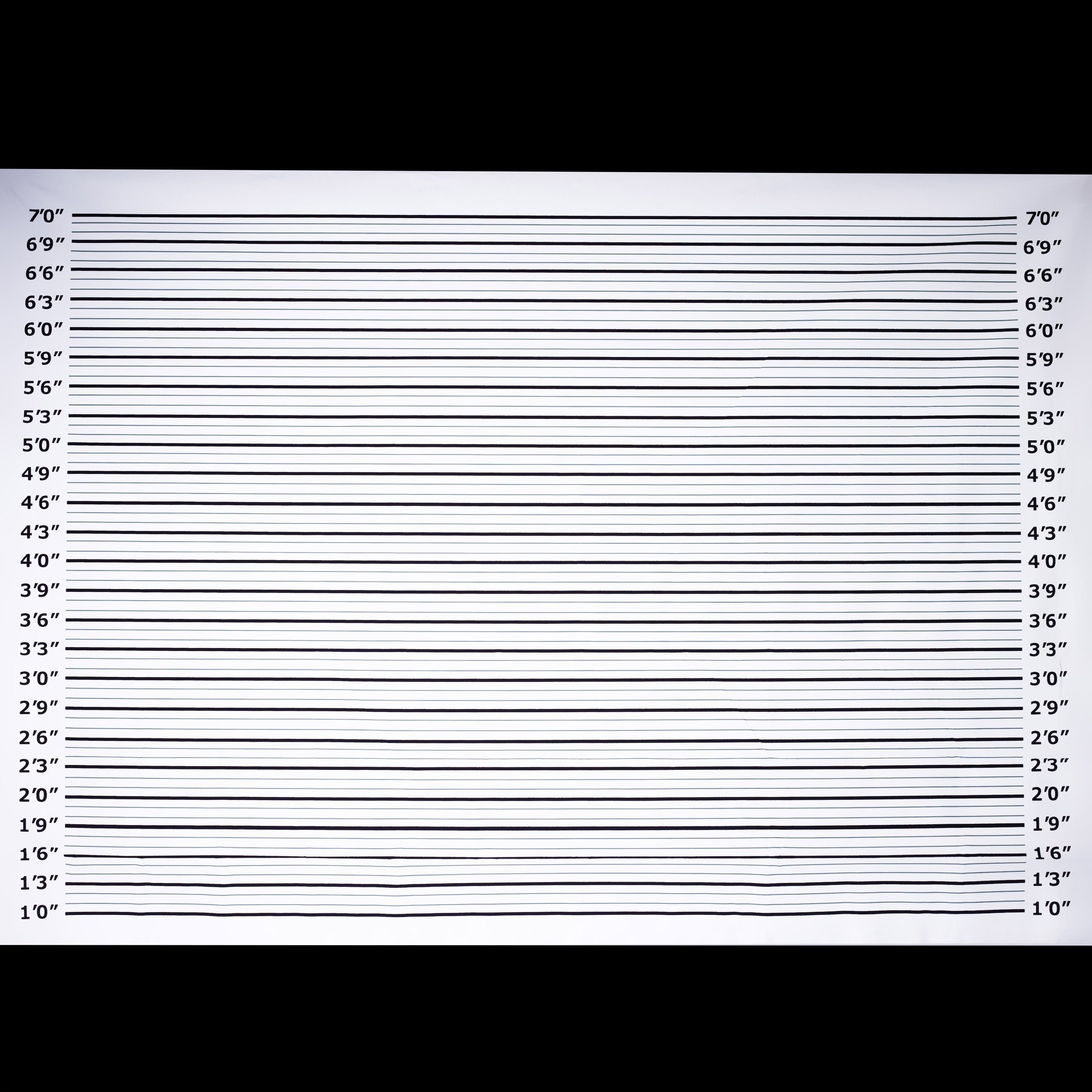 Mugshot photobooth backdrop banner