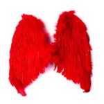 Red Angels wing