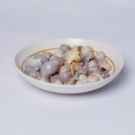 Sea shells
