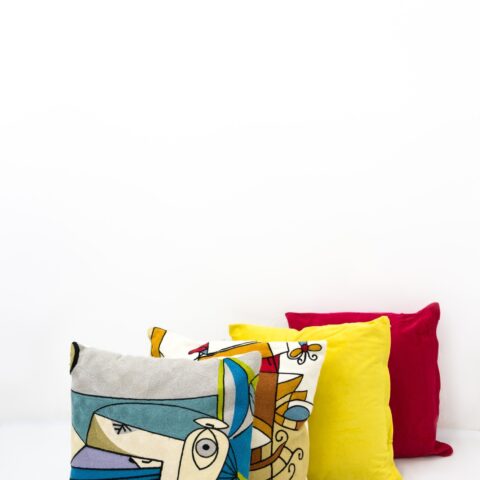 Throw Pillow