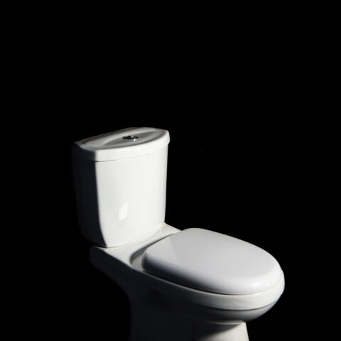 Water closet