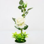 White Rose Flower